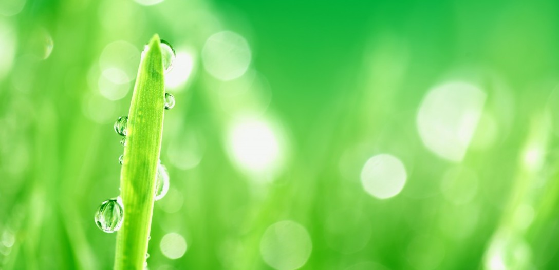 Waarom een vereniging van coaches?